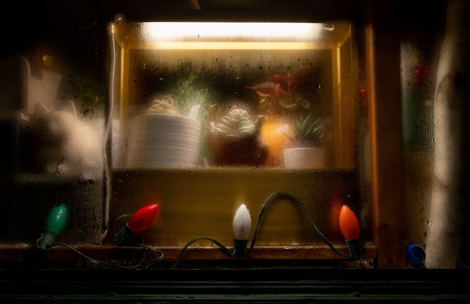 Shop Window at Night in the Fall